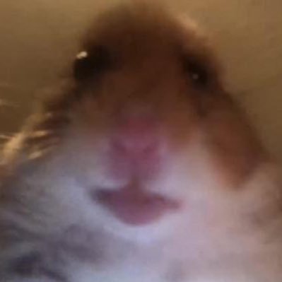 @hopes_revenge