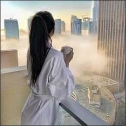 @tj0p12h77zqg3