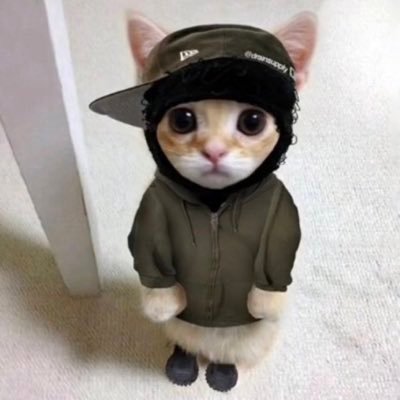 @ravioli_stick